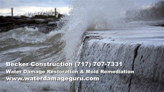 Hershey Cleaner Mildew